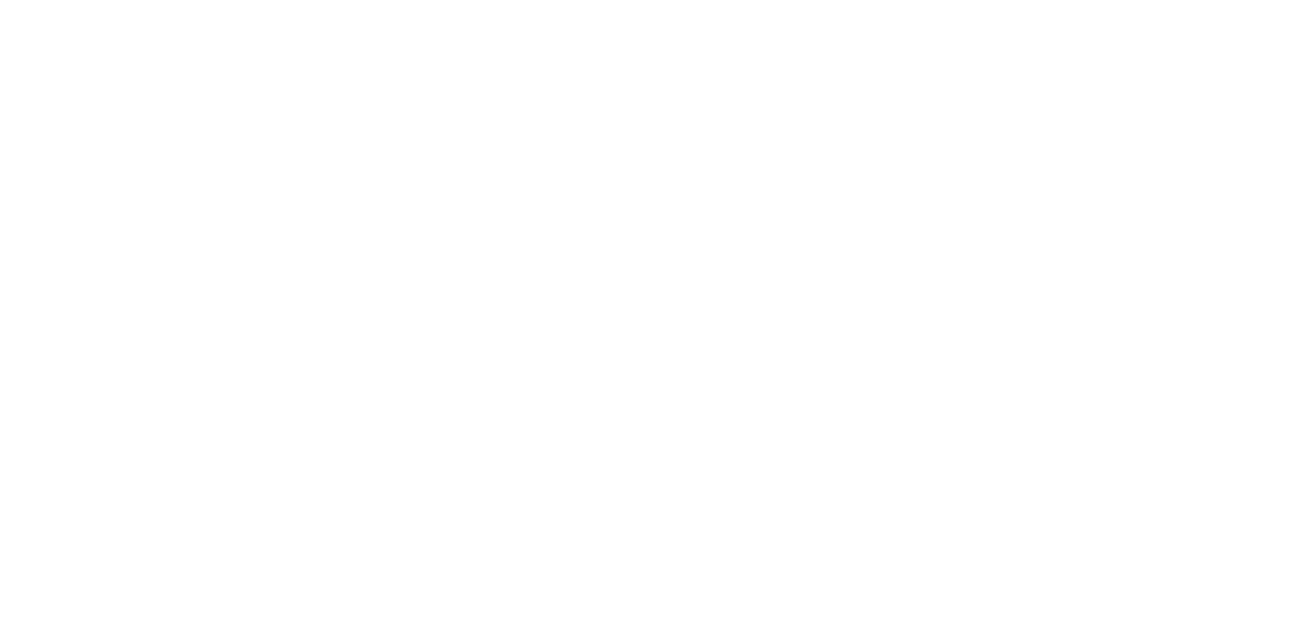 CPI Brand Logo White