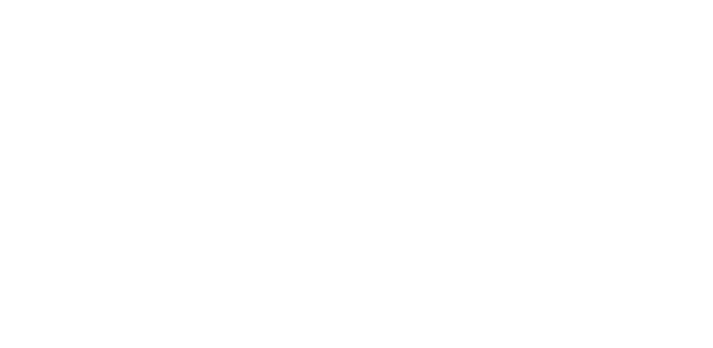 Solest Brand Logo White